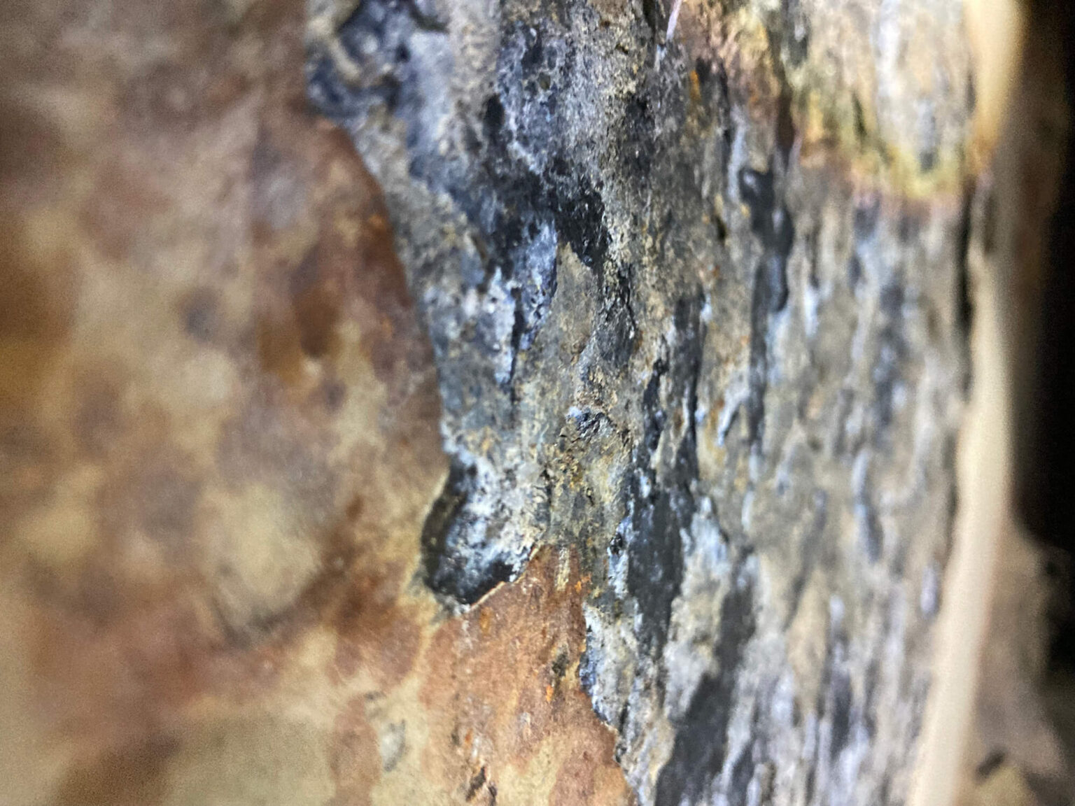 Coating inspection